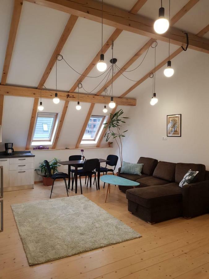 Leisure Apartmens Brasov Appartamento Esterno foto
